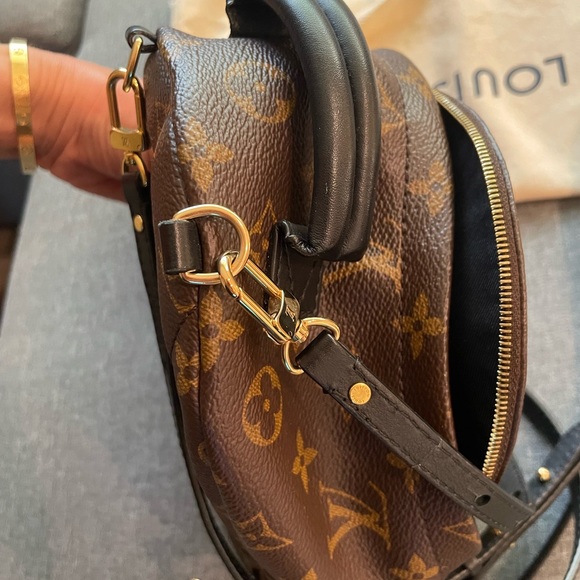 Louis Vuitton mini Palm Springs - Picture 3 of 15